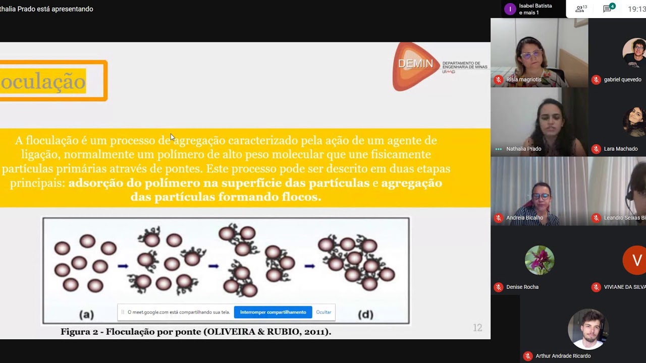 Efeito do uso de coagulantes na sedimentação de finos de minério de ferro