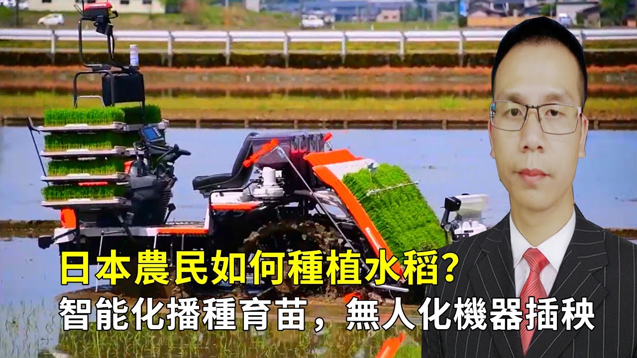 日本農民如何種植水稻？智能化播種育苗，無人化機器插秧||Intelligent sowing and seedling raising, unmanned machine transplanting