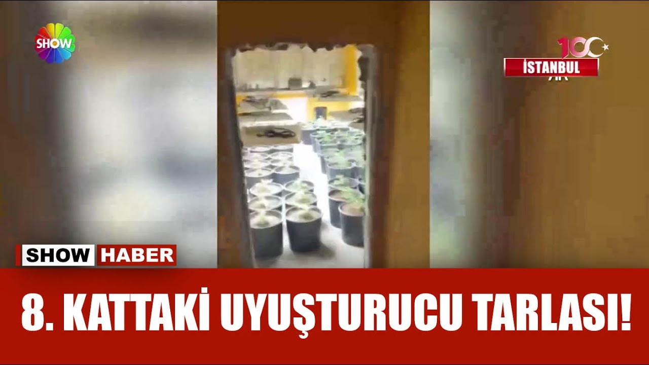 Bu dolabın arkasından zehir tezgahı çıktı!