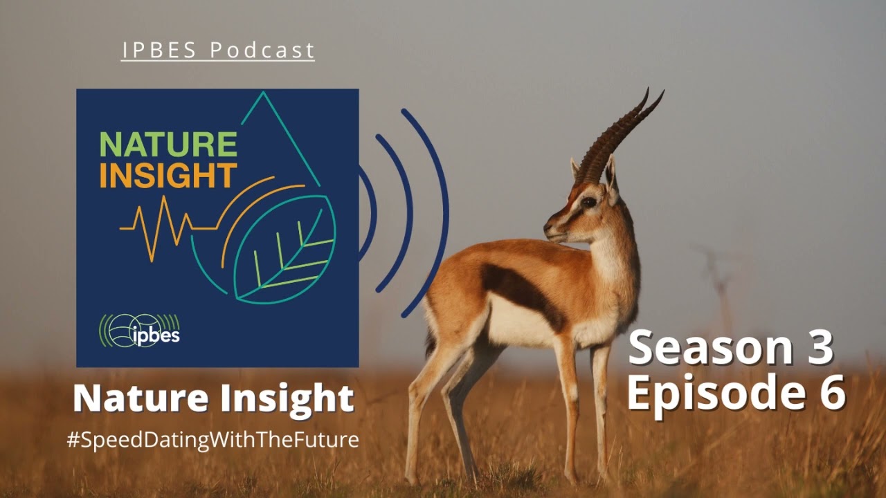 Nature Insight- An IPBES Podcast- S3 E06: Super-Charging Science Policy Through Youth Engagement