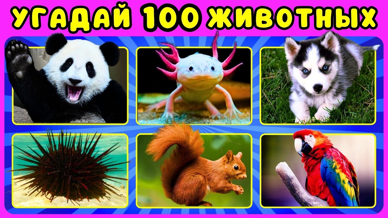 ✅Угадай100 животных по фото за 3 сек😻ЖИЗА челлендж