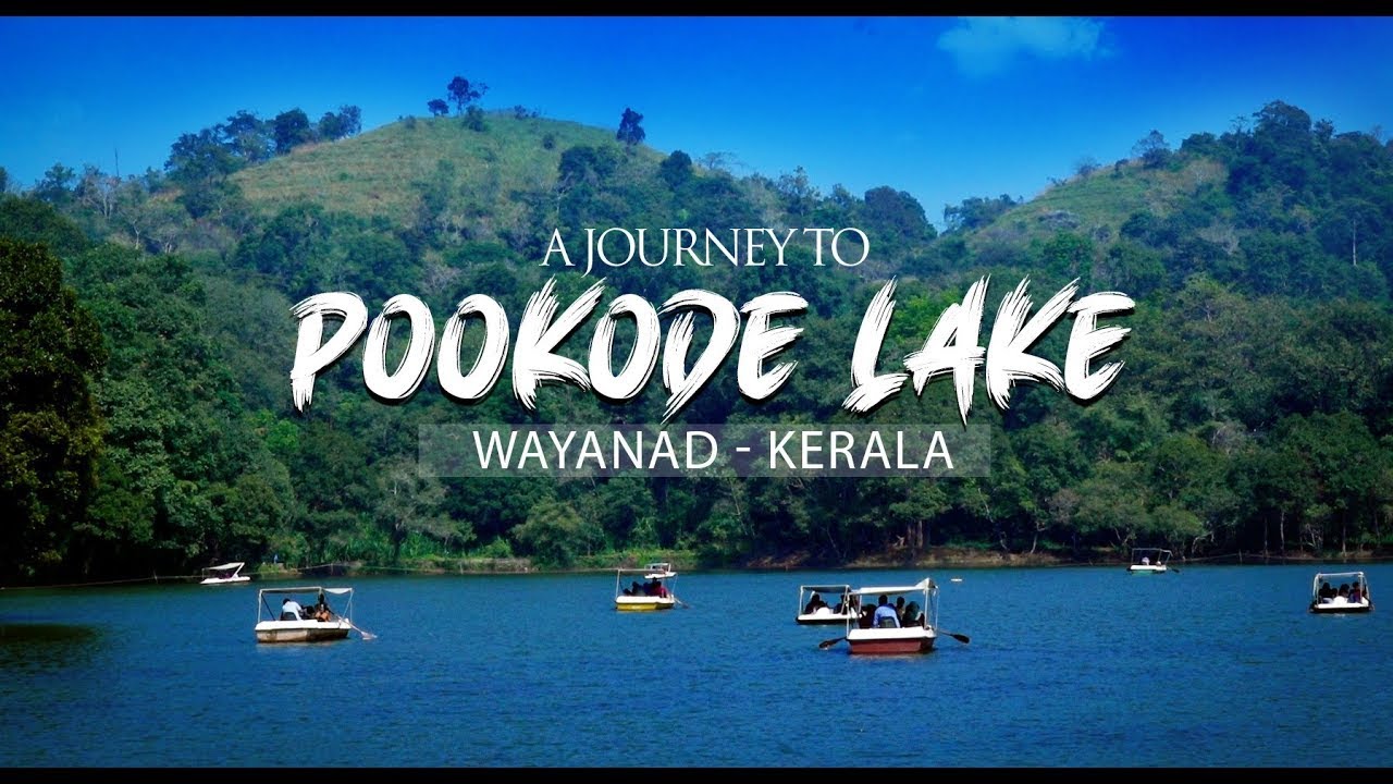 വയനാട്ടി‌ലെ പൂക്കോട് തടാകം |  Pookode lake | Wayanad | Kerala Tourism