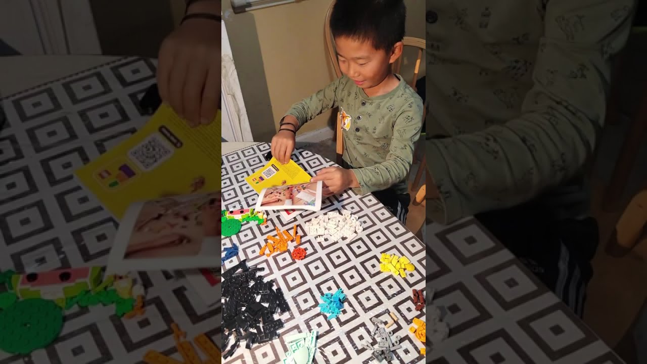 第一次录制William拼犀鸟的全过程#lego 