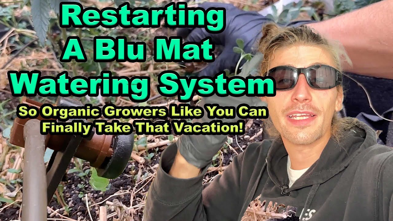 Resetting A Blu Mat Self Watering System With Gravity Fed Reservoir
