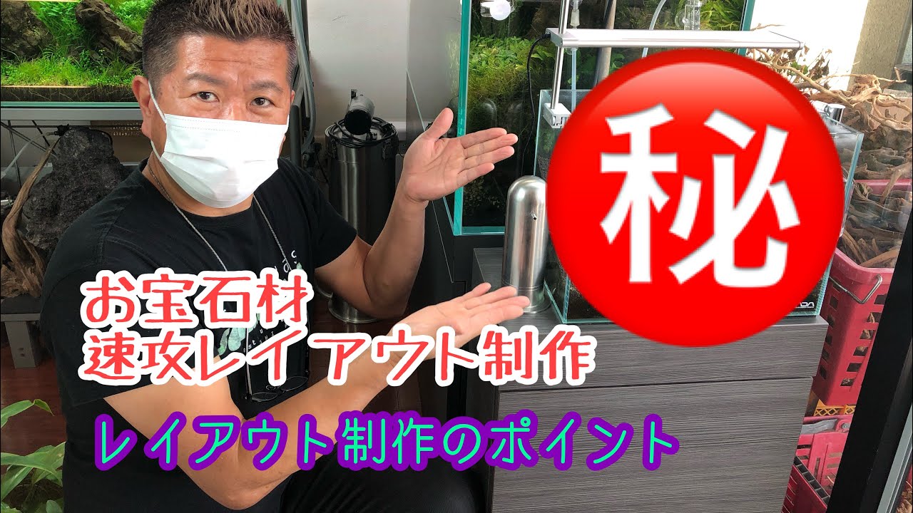 36㎝水槽　お宝素材で速攻レイアウト制作　◇前編◇☆Official☆　AquaRevue Neo CH