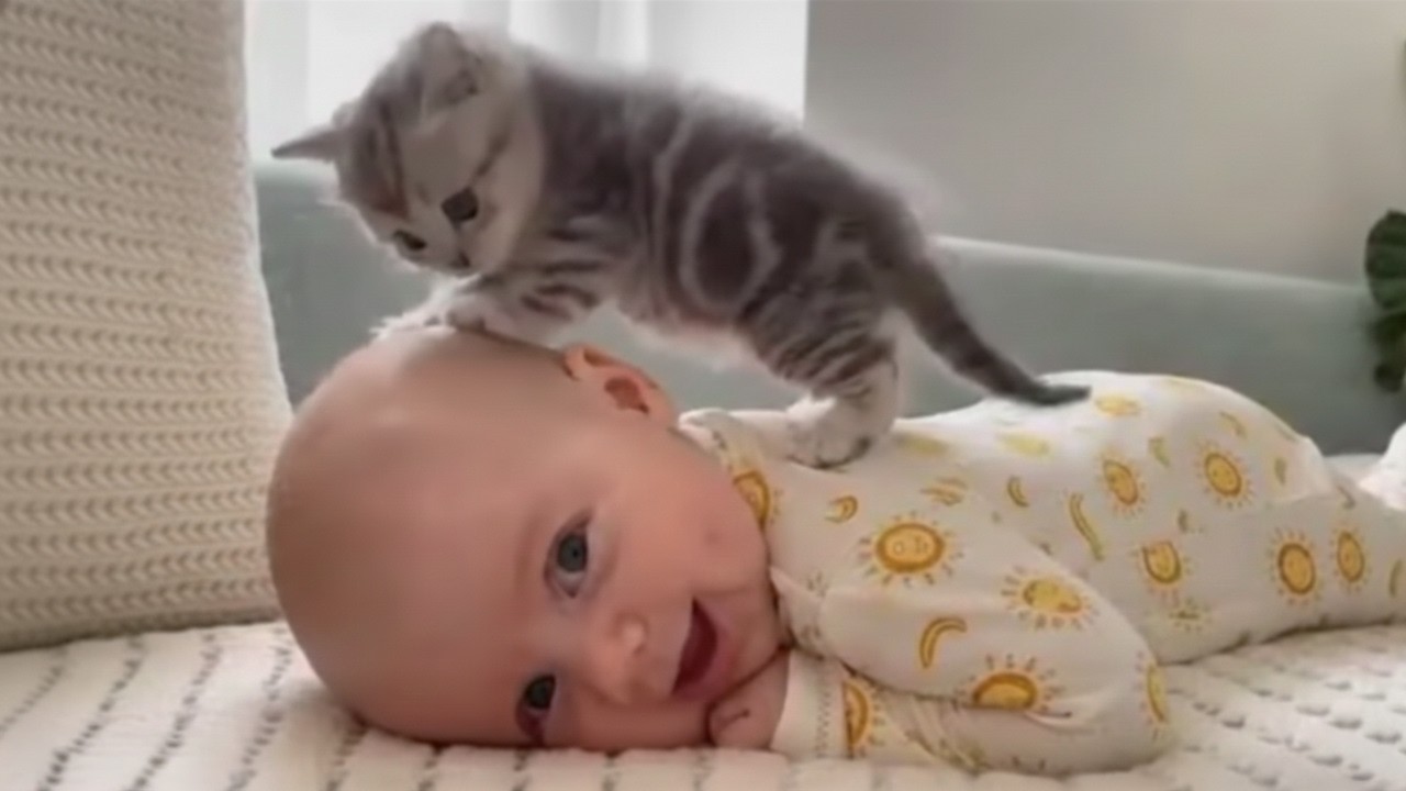Cute Baby & Kitten Bonding Moments 😻👶 | Adorable Cat Videos 2026