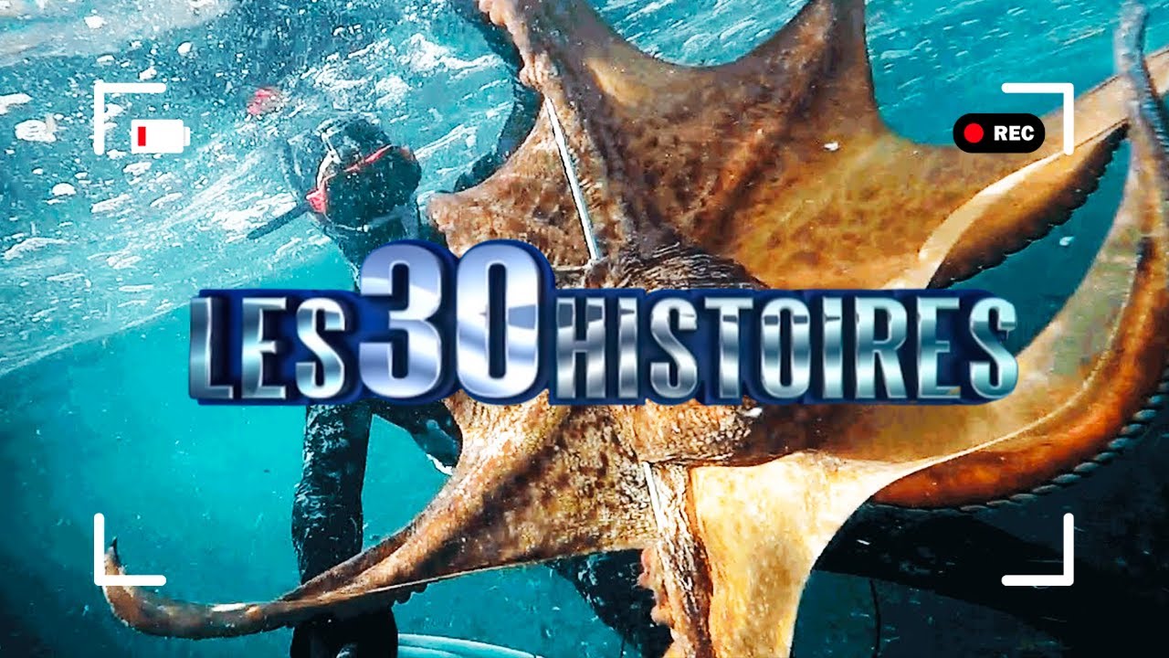 Les 30 histoires les plus INCROYABLES ! (Vous allez &ecirc;tre surpris..) - P022013