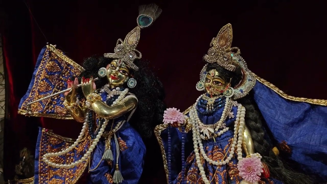 Nityananda Trayodashi Glimpse 20263#radhakrishna #india #festival #darshan #home #devotional #god