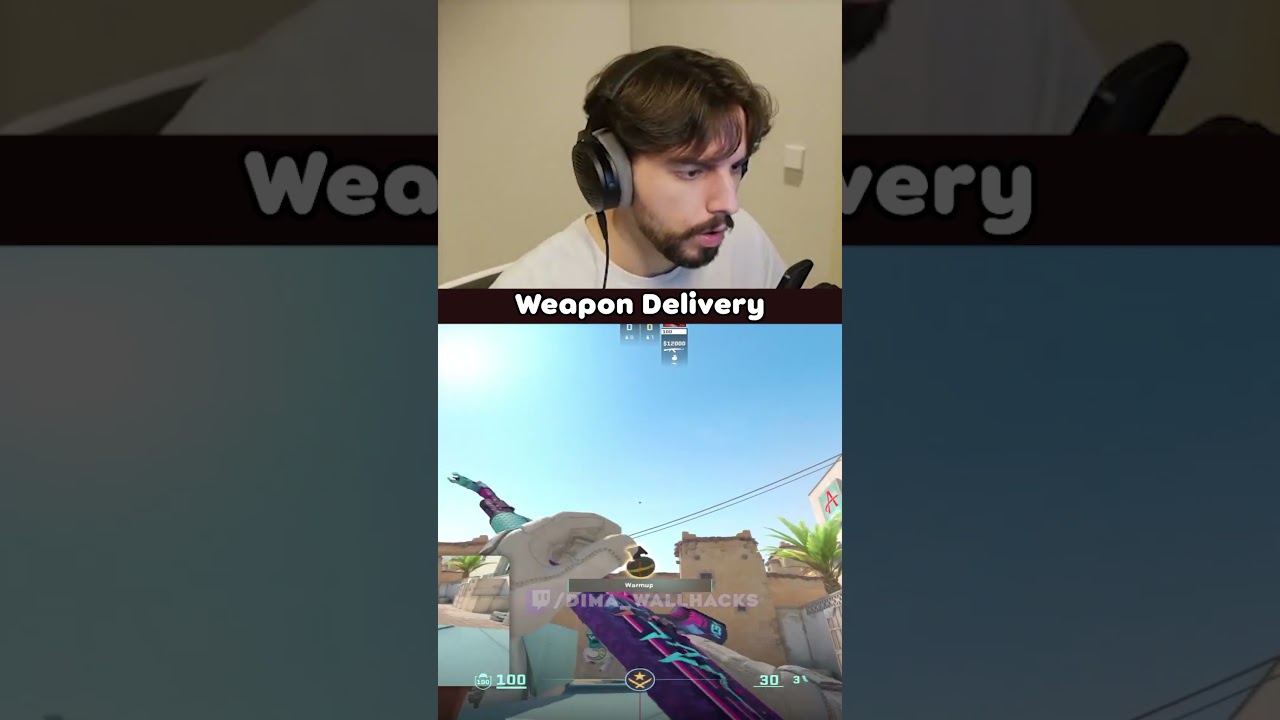 Gun Delivery Service Is Fast #cs2 #csgo #dimawallhacks