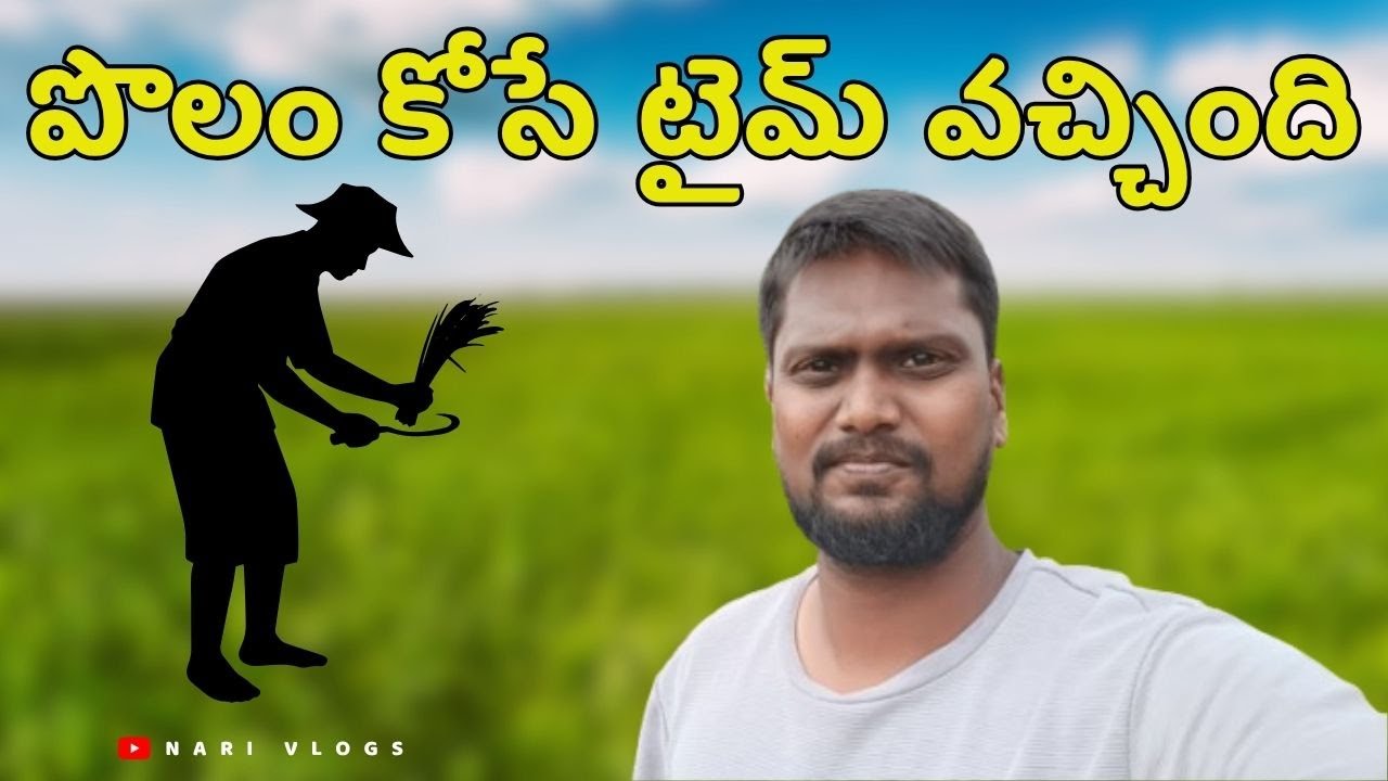 Polam Kose Time Vachindhi🌾🌾🌾 | Nari Vlogs | 2025
