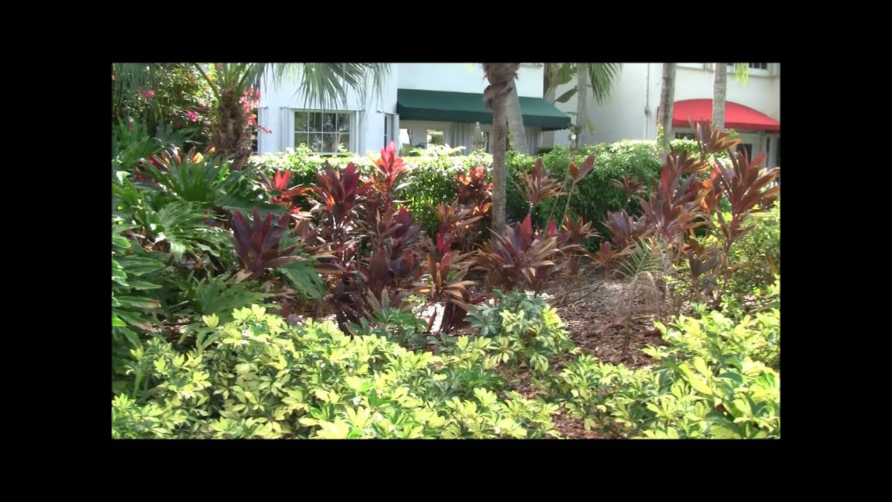 Turnberry Isle RESORT - Copy.wmv