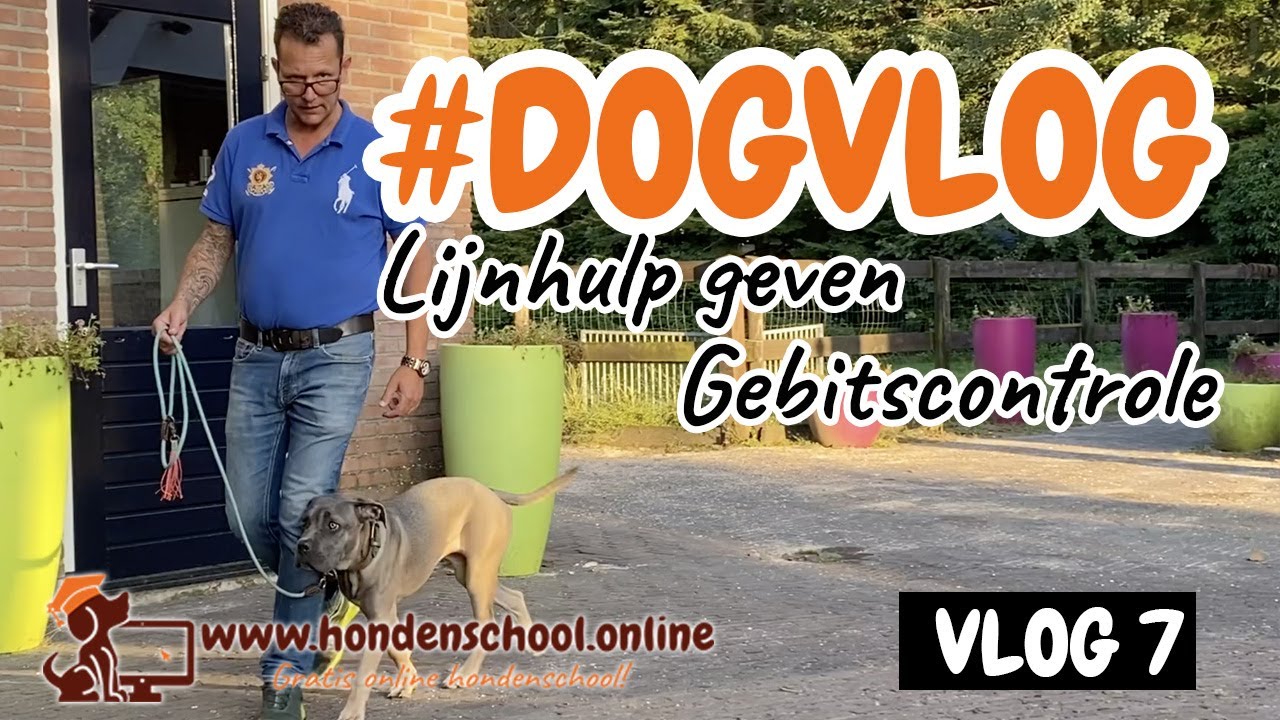 #Dogvlog 7 - Lijnhulp geven - gebitscontrole hond