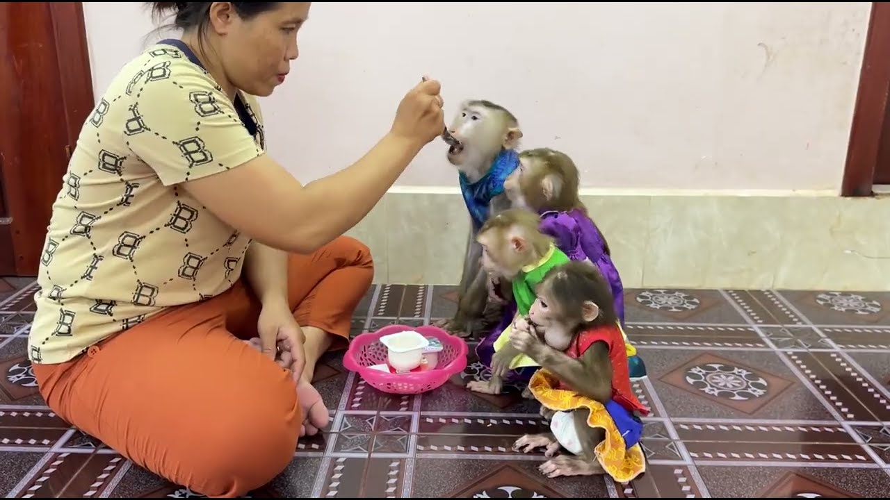4 Sibling sit in line so good wait mom best feeding them yogurt each .
