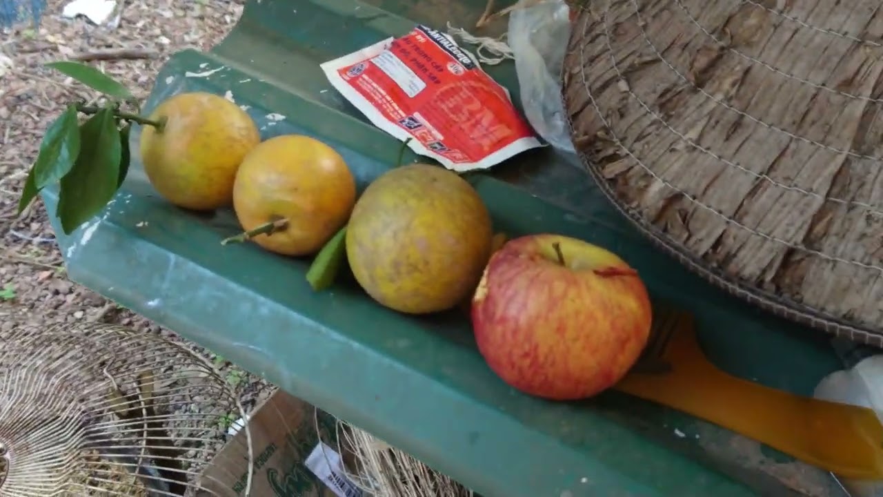 Thử quay video 4k bằng Sony Xperia XZ Premium