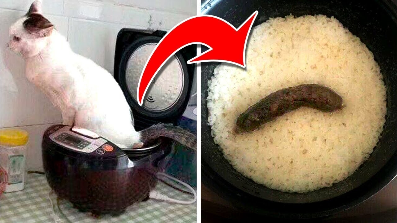 Pessoas Claramente Tendo Um Dia Pior Que O Seu - Parte 3