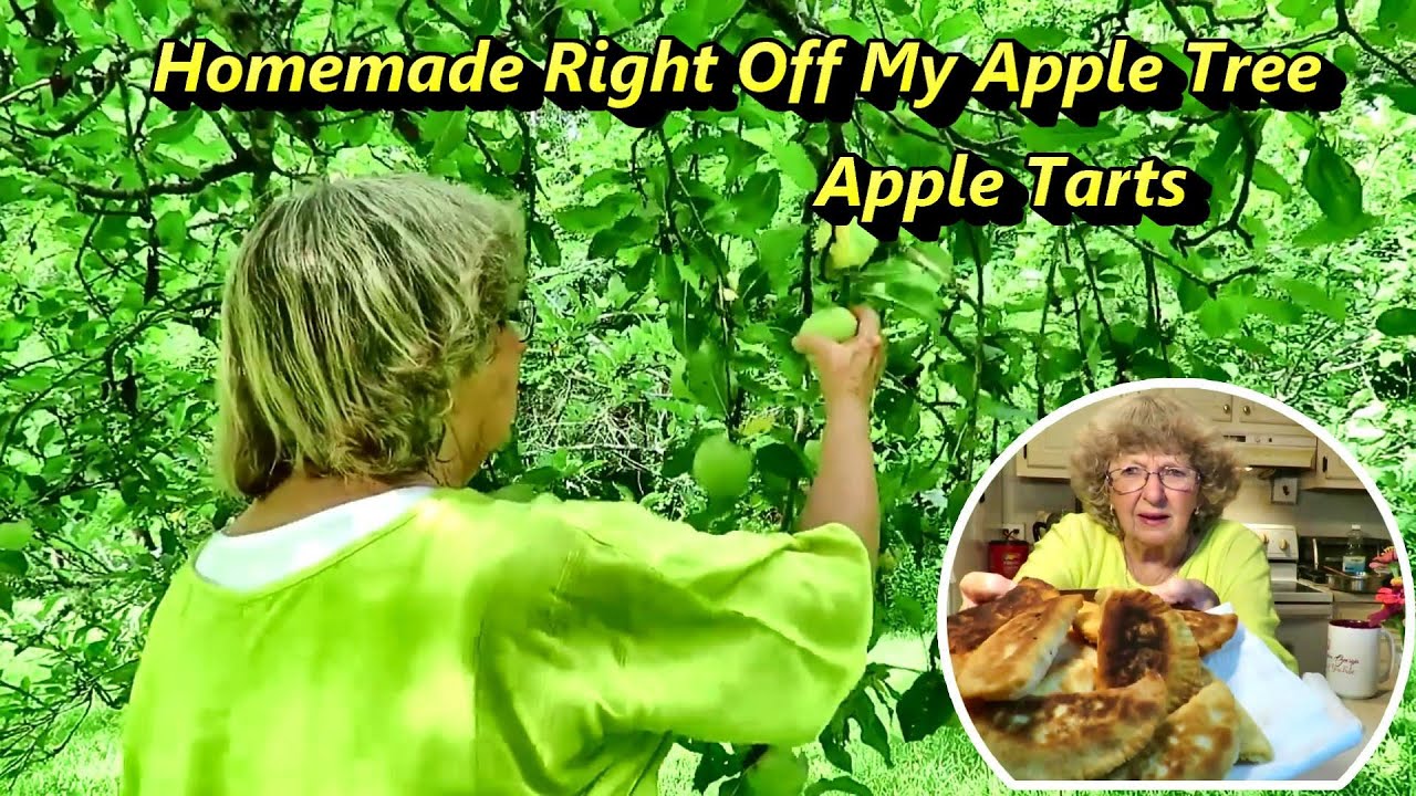 Amazing Homemade Apple Tarts 100 Year Old Recipe