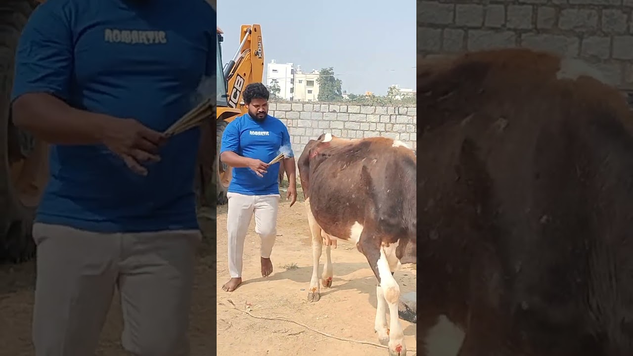 2026 Shankrathri pooja Pongal selebrestion 