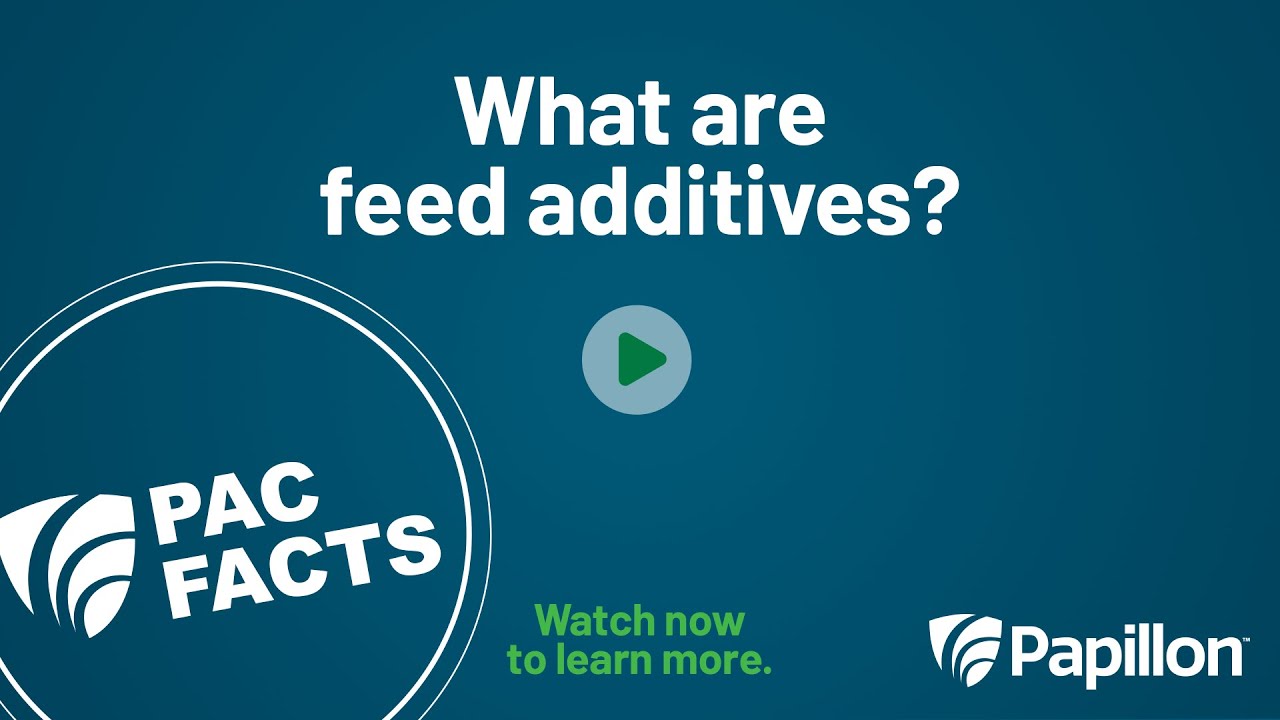PAC Facts: What Are Feed Additives?
