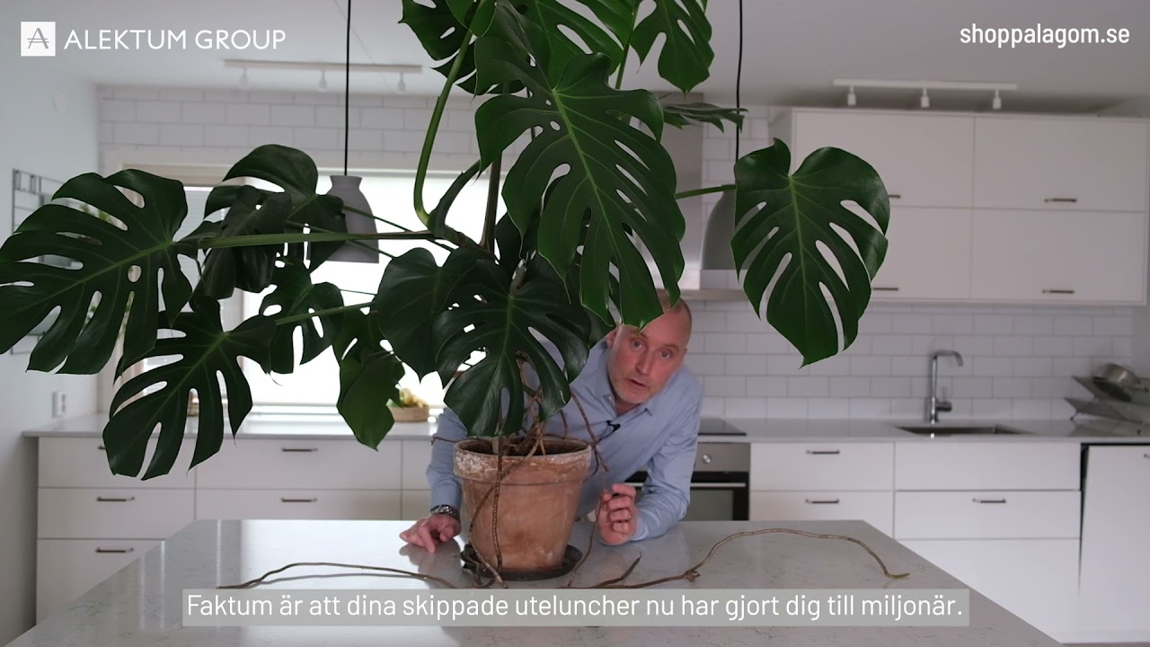 Ränta-på-ränta-effekten med Magnus Hedberg
