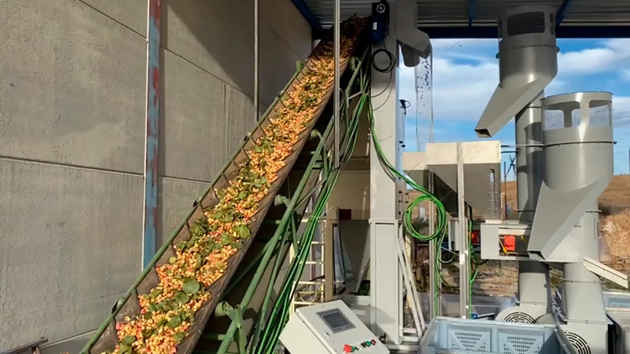 Planta de procesado de pistacho
