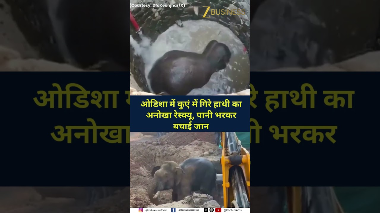 Odisha Forest Officials Rescue Elephant from 30-Foot Well Using Water