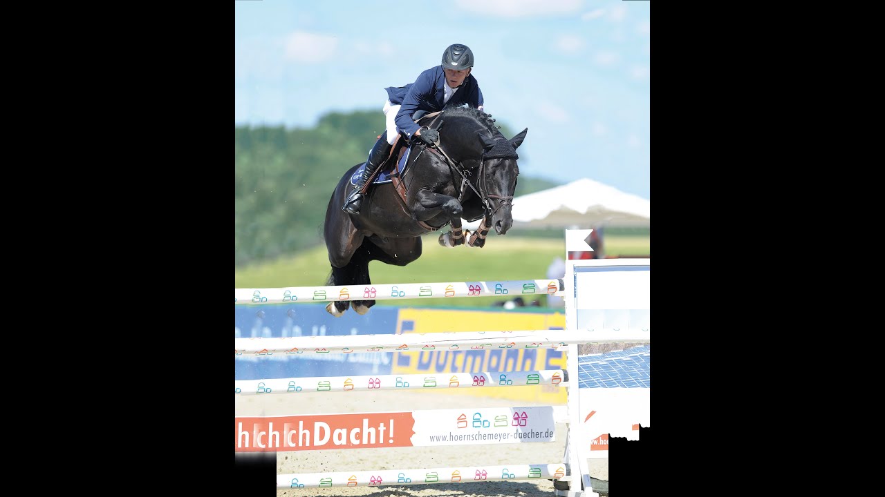 Diarado - Stallion Collection Schockemoehle 2021 ENG