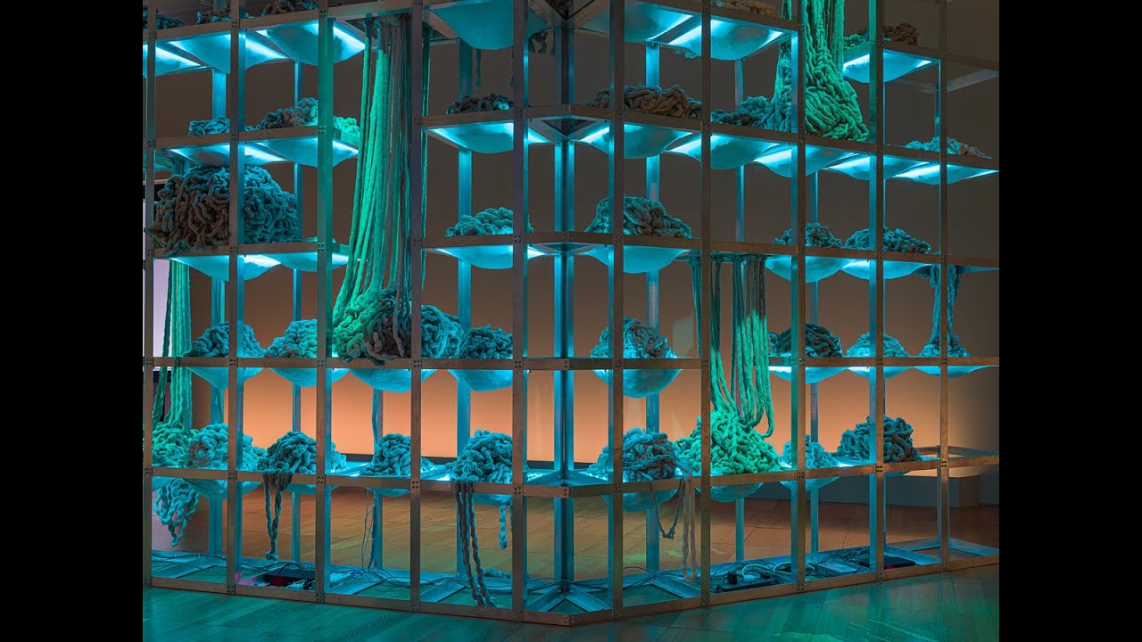 View of Afra Al Dhaheri, Collective Exhaustion, 2023