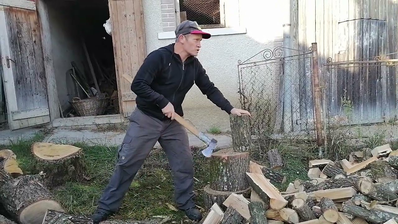 VIATA MUNCA LA TARA 2024