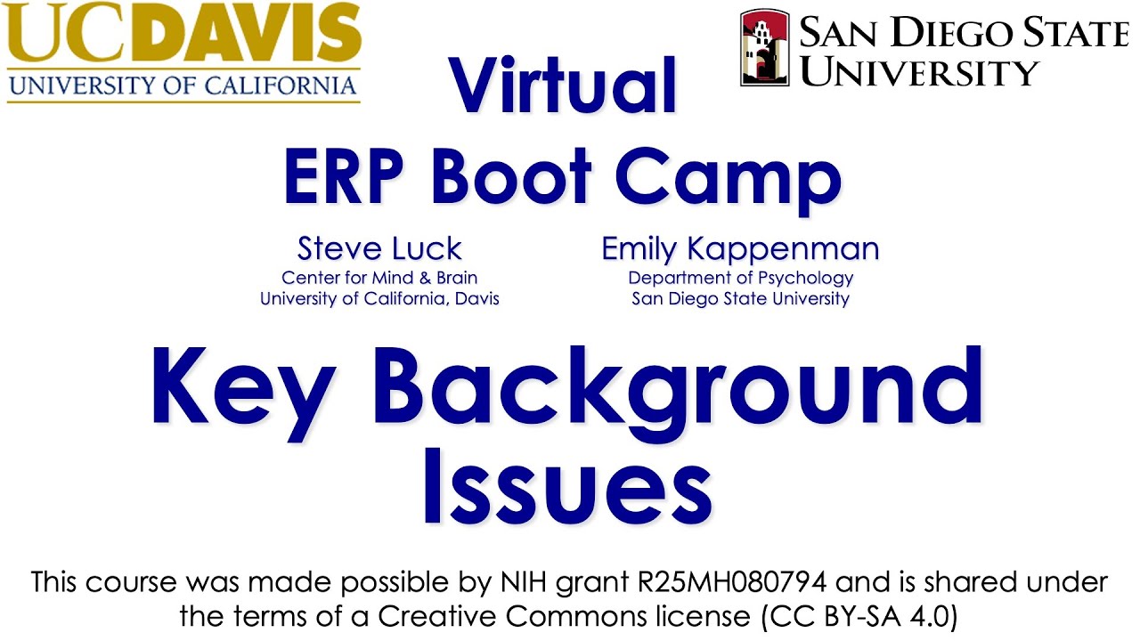 Background Issues 4-  Time-Frequency Analysis