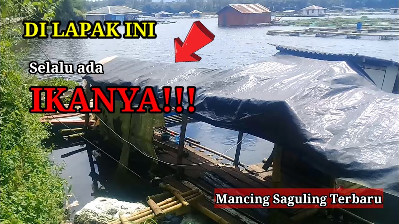 LAPAK YANG SELALU ADA IKANNYA//MANCING SAGULING TERBARU//LAPAK BAH UKAR