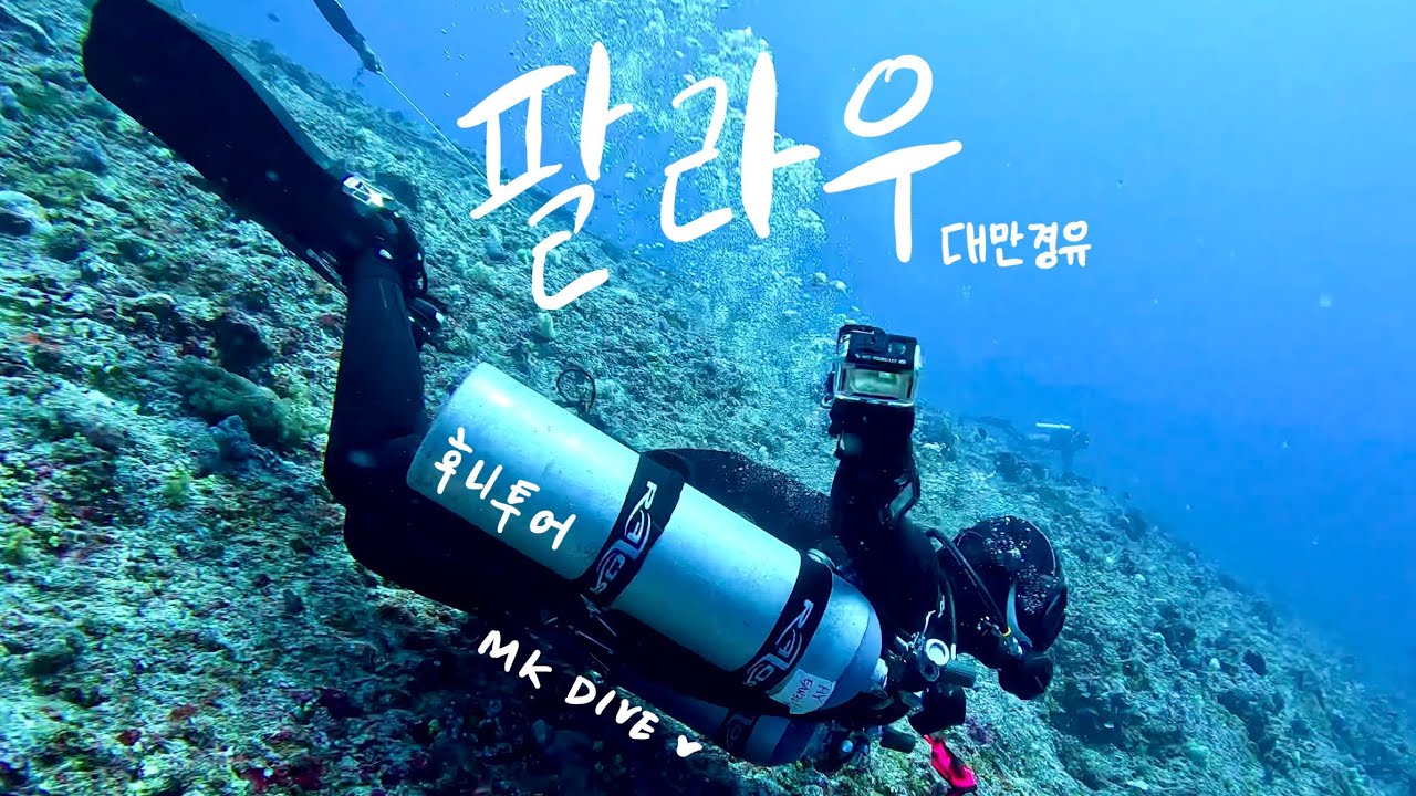 갈때마다 더 좋은 팔라우_대만경유_후니투어_MKDIVE