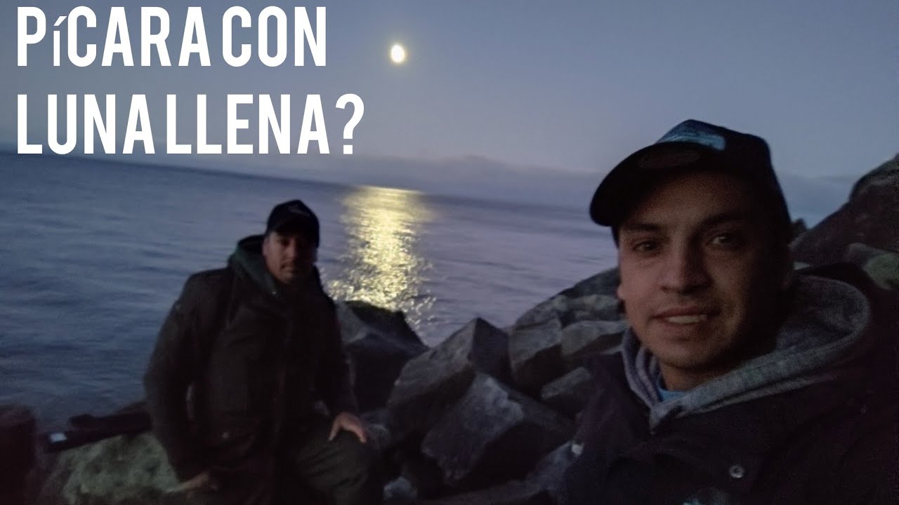 VINO DESDE SANTIAGO A CONOCER EL PODER DE LOS SALMONES DEL LAGO LLANQUIHUE.