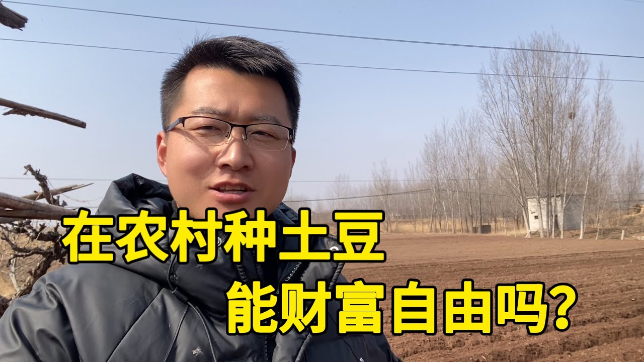 在农村，种土豆能发财吗，一亩地能赚多少钱？