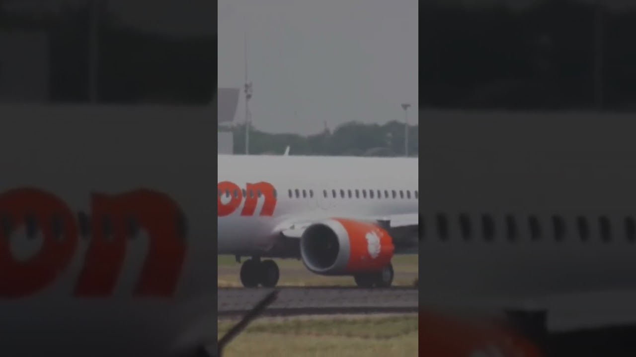 Boeing 737 LION INDONESIA 🇮🇩