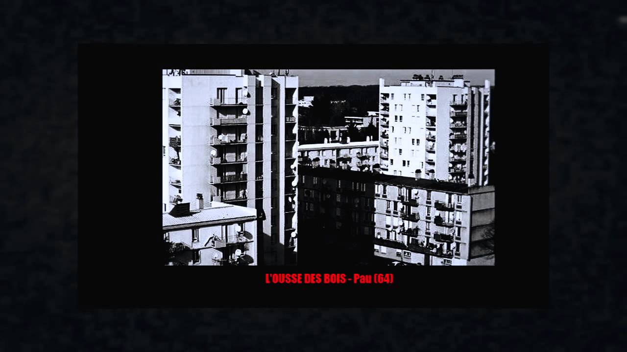 Bayssou (Braabus Music) // La bete [son officiel ] // 2015 // A7