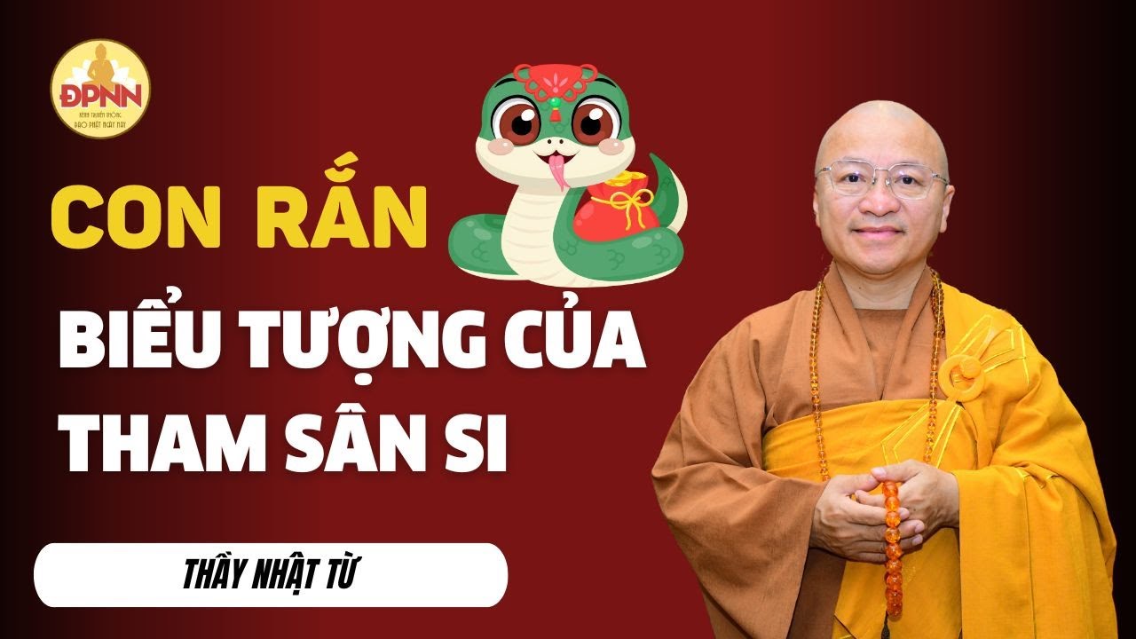 Con Rắn: Biểu Tượng Cho Tham Sân Si và Cách Chuyển Hóa Theo Đức Phật | Thầy Nhật Từ