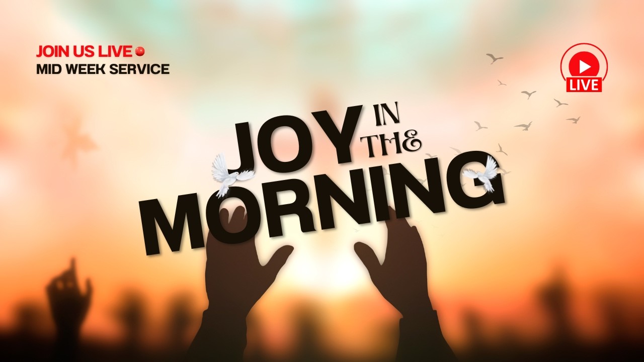 JOY IN THE MORNING [LIVE]