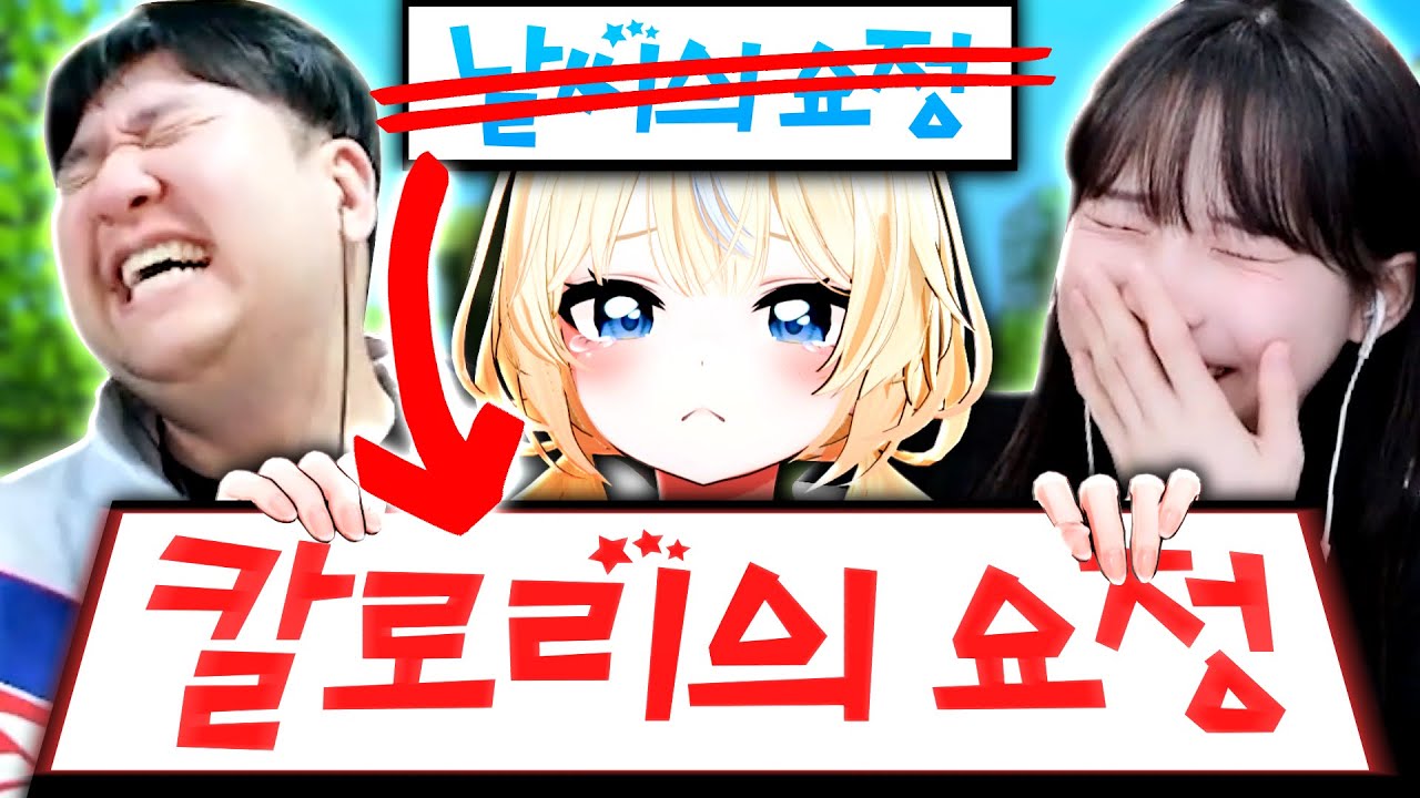 길냥이가 종켓단에 들어가게 된 사연