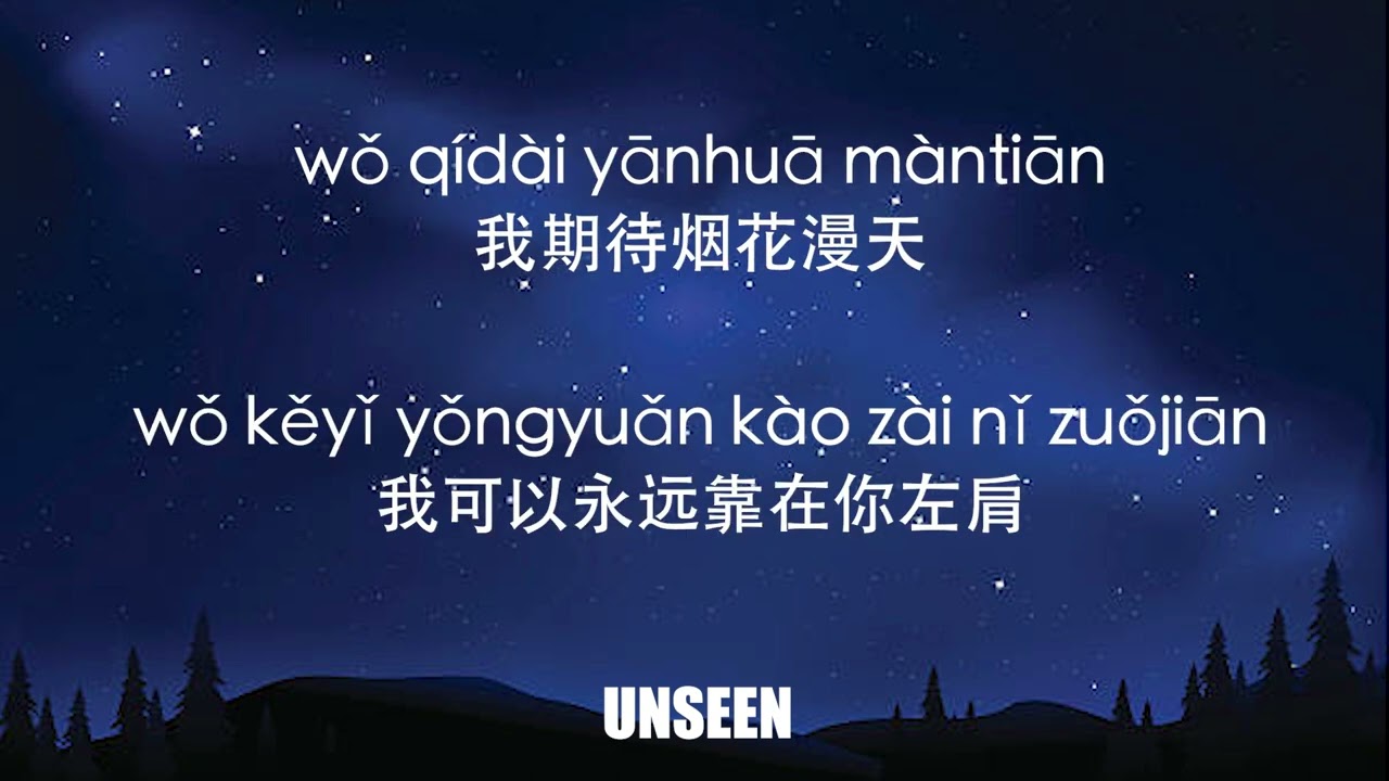我期待的不是雪 - wo qi dai de bu shi xue - 张妙格 - Zhang Maio Ge | Lyrics - 歌词