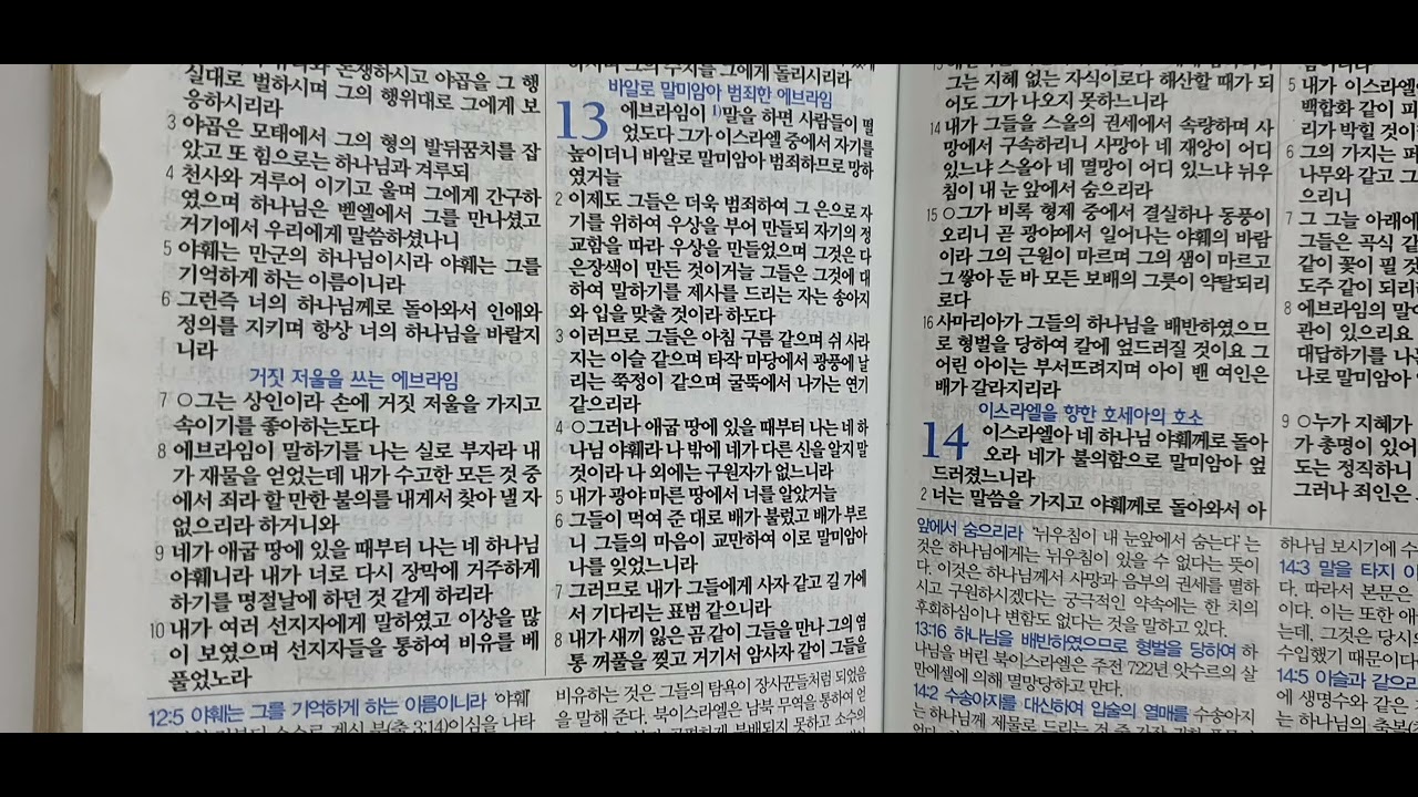 💙 호세아 13장 ♡ 2026년 3월 3일 화 ♡ 네네인쇄유튜브 박희숙유튜버 💙 #몸의변형인부활이되어야휴거도가능합니다 #몸의변형 #부활 #휴거 #천년왕국 #부활체로삶 #새하늘과새땅