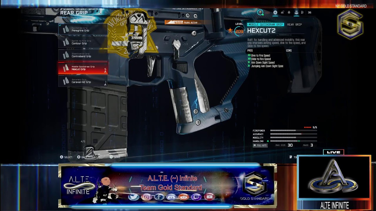 A.L.T.E. Infinite -Team GS BO7 -The Road To The Gold Standard Ranked