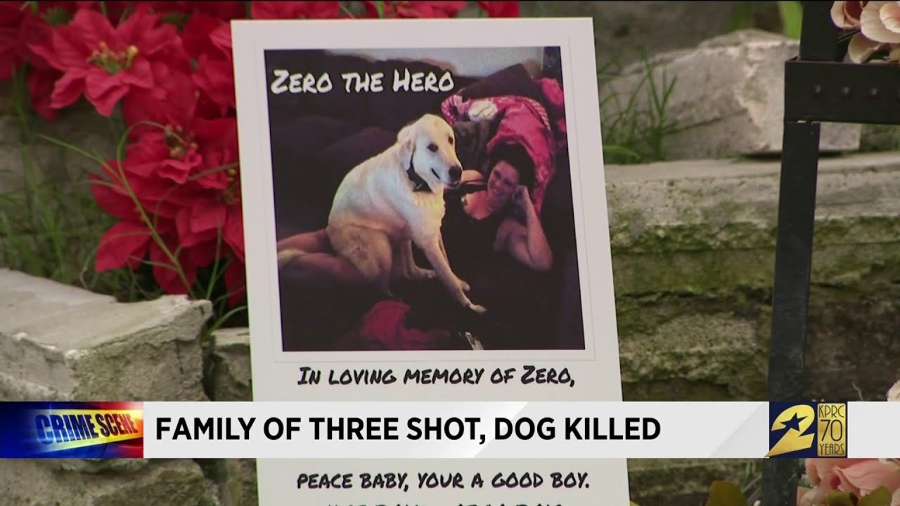 Family of three shot, dog killed