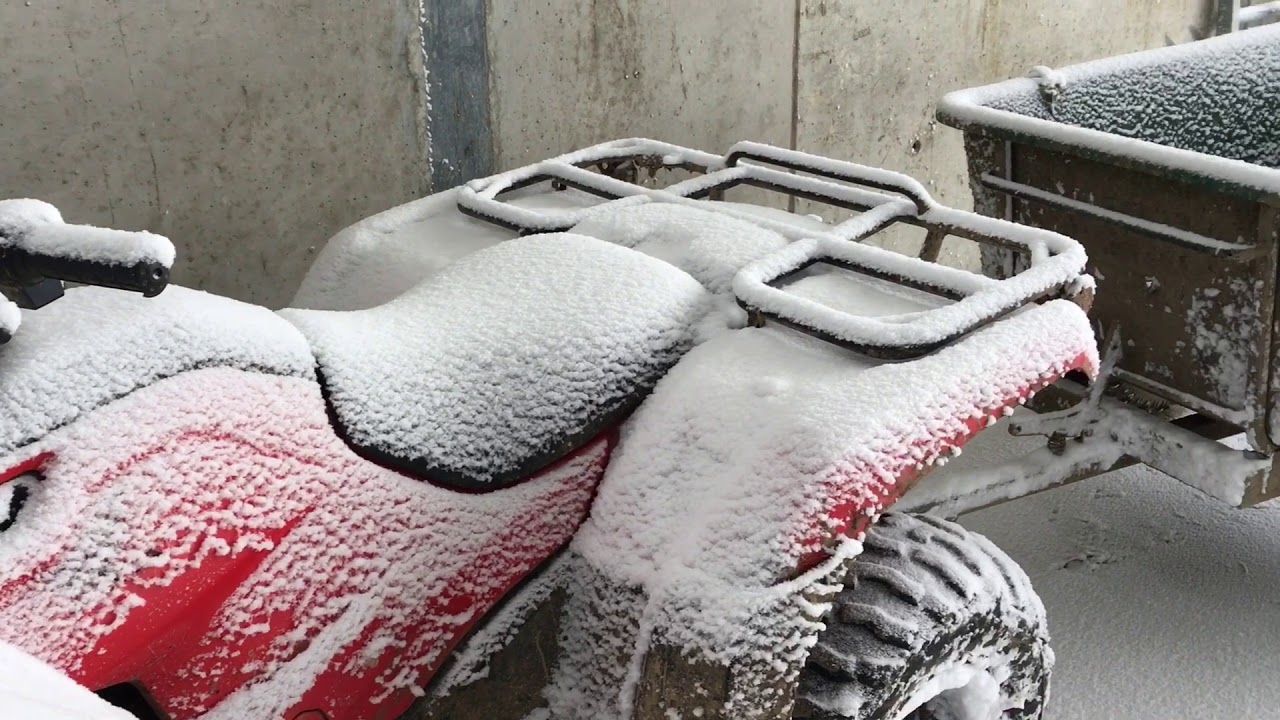 Coping with Storm Emma on Westmeath farm