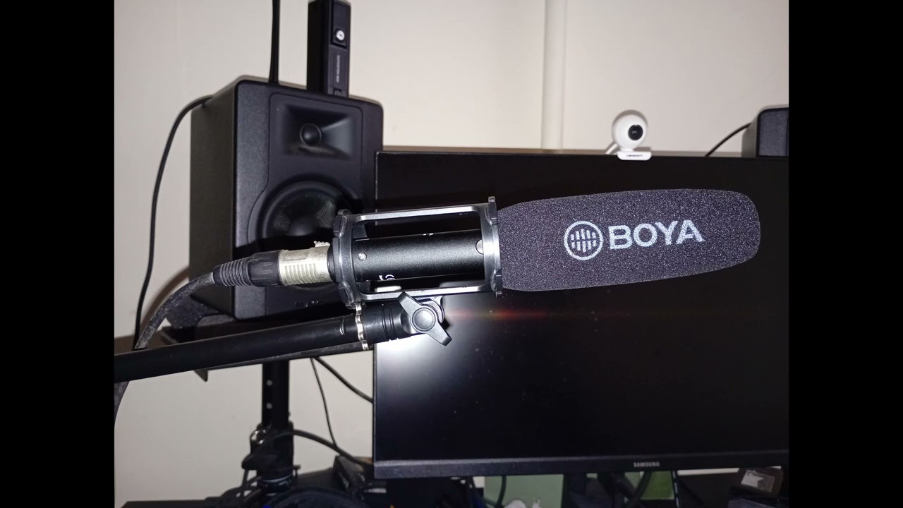 BOYA BY BM6040 Mic Review