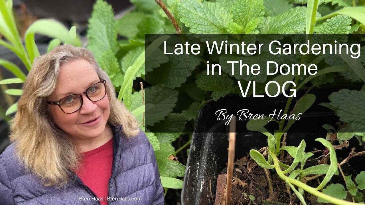Late Winter Gardening in the Dome VLOG