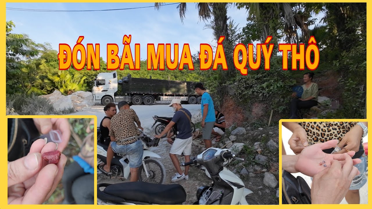 DÓN BÃI MUA ĐÁ QUÝ THÔ