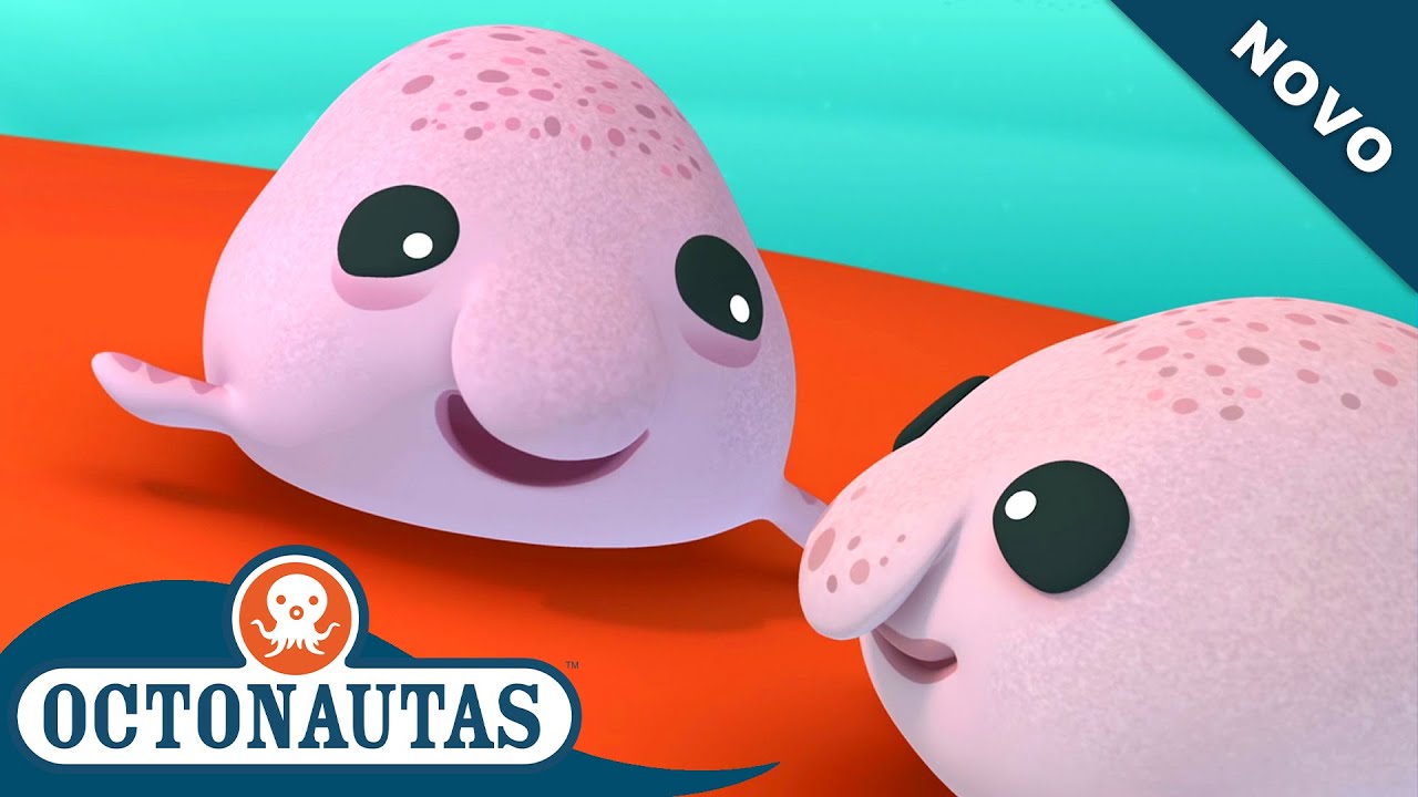 Octonautas - Os Peixes-bolhas Irmãos | Episódio inteiro 33 | Primeira Temporada