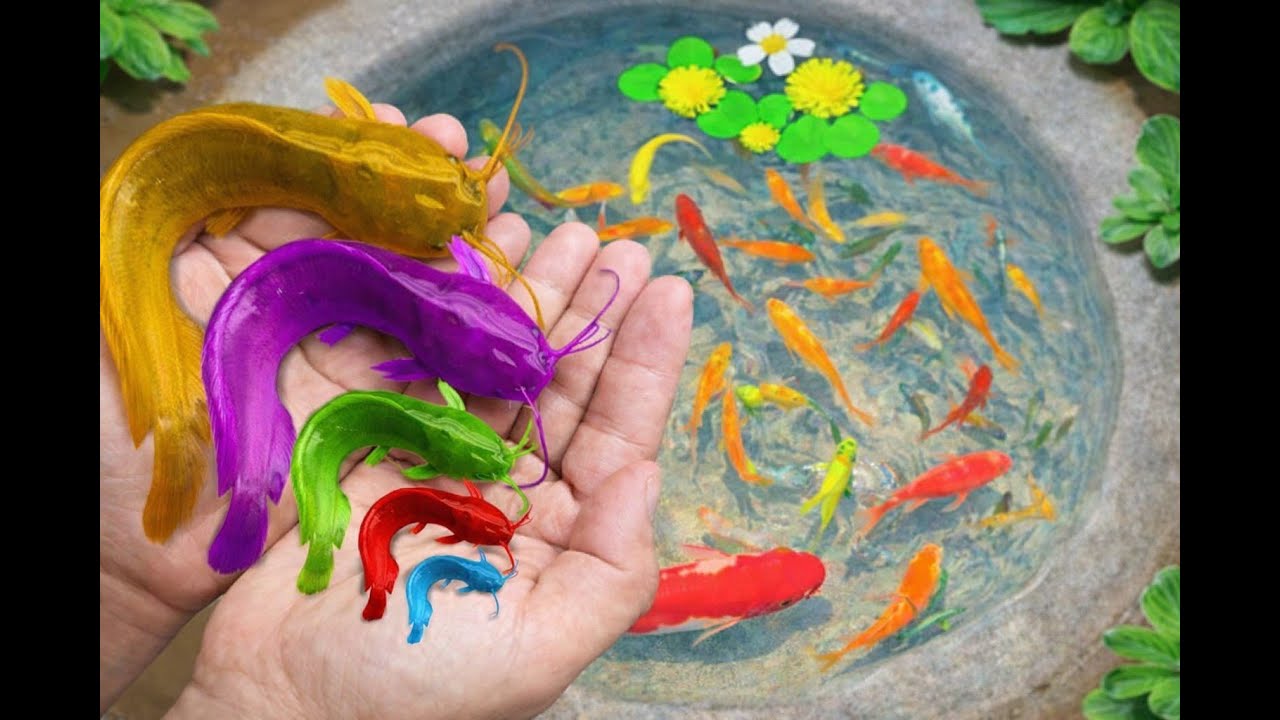 Catch colorful koi and baby turtles in a mini garden pond #fish #koi #aquarium #guppies #turtles
