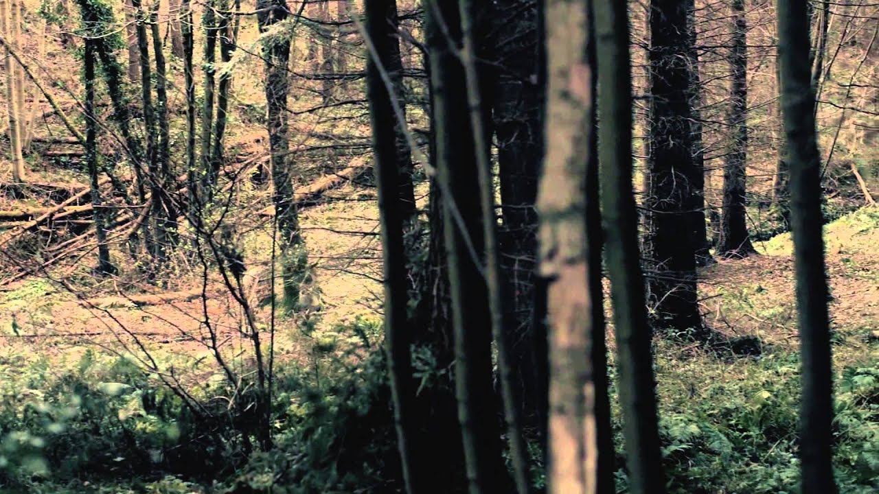 CBBC: Wolfblood - Jana Bites 1 - Sacrifice