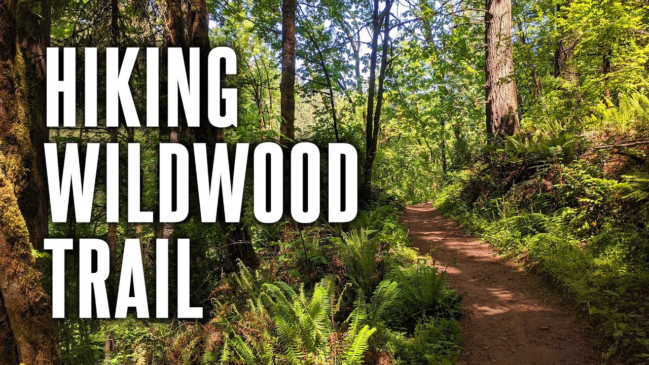 I Hiked 30 Miles in a Day | Wildwood Trail in Forest Park (Portland, OR)